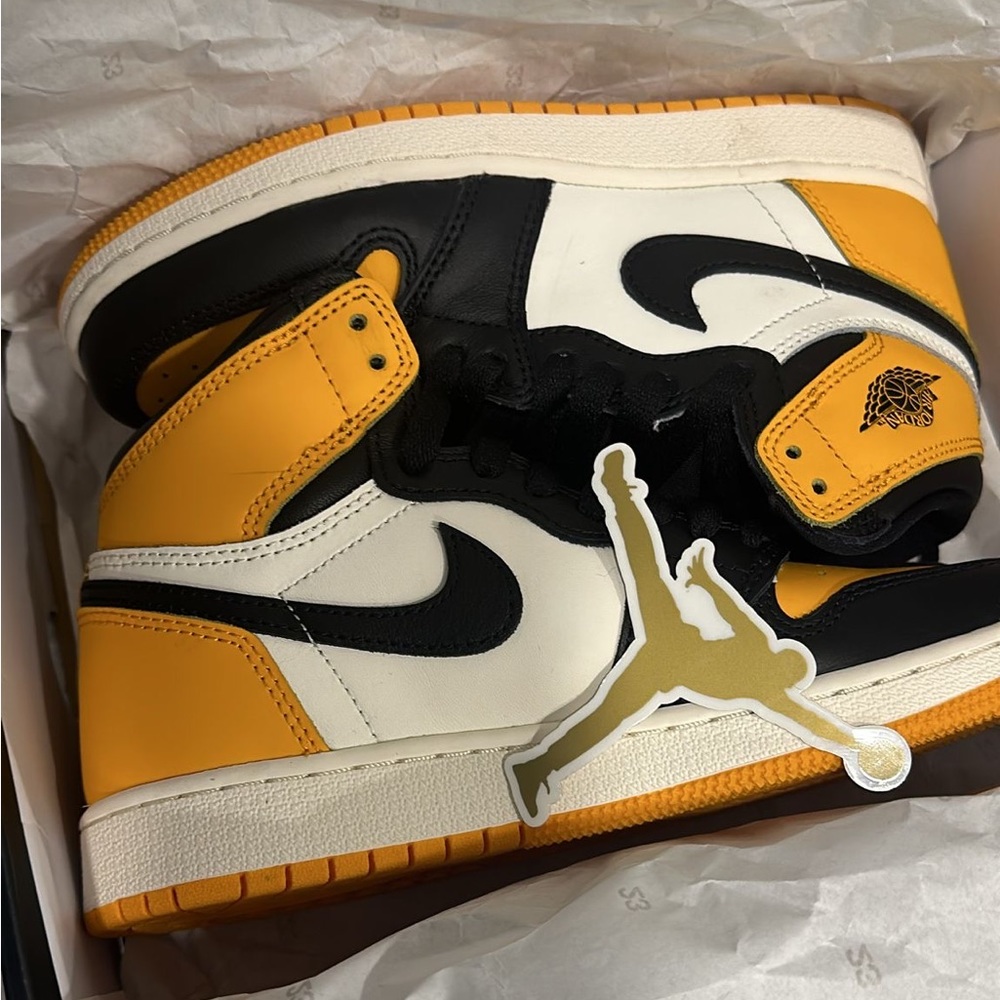Air Jordan 1 Retro High